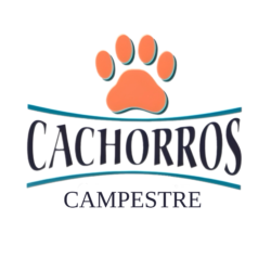 CACHORROS CAMPESTRE